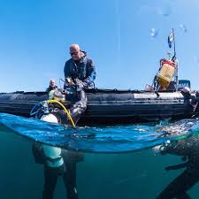 Image result for Great Western Divers