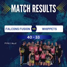 Image result for Falcons Netball Club