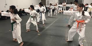 Image result for Calne Tagb Tae Kwon Do School