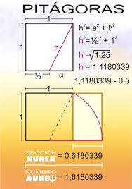 Image result for numero aureo