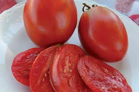Afbeeldingsresultaat voor amish paste tomato
