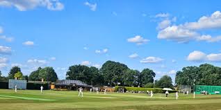 Image result for Wrecclesham Cricket Club