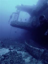 Image result for Kingston & Elmbridge Junior Snorkelling Club