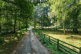 Image result for Edlington Sc