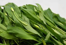 Image result for Bärlauch