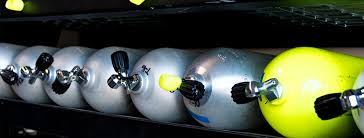 Image result for Maverick Divers