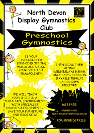 Image result for North Devon Display Gymnastics Club