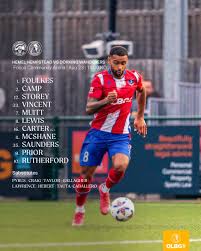 Image result for Dorking Wanderers F C