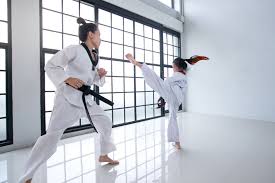 Image result for Martial Art Centre of Excellence