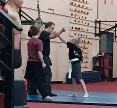 Image result for Carn Brea Karate Kai