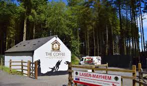 Image result for Laser Mayhem