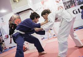 Image result for Judo/Ju-Jitsu Self Defence