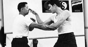 Image result for Somerset Jeet Kune Do