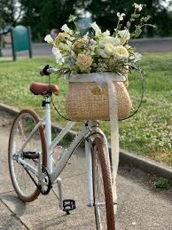 Image result for bicycle basket