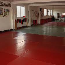 Image result for Macclesfield Dojo