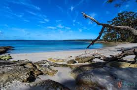 Image result for Scottish Rocks