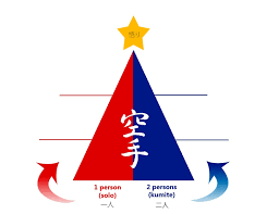 Image result for Taunton Karate Jutsu