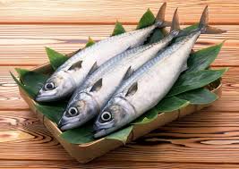 Image result for ikan