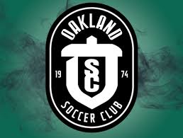 Image result for Ockley Acorns Junior F C