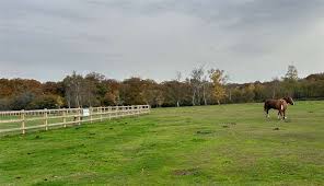 Image result for Cadnam Cricket Club