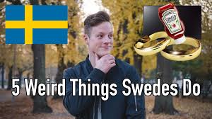 Image result for stehr tehron