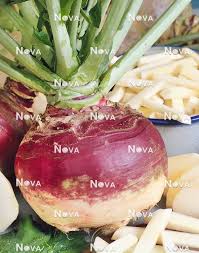 Attēlu rezultāti vaicājumam “Brassica napus fruit”