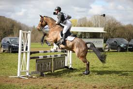 Image result for Abinger Forest Riding Club