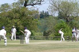 Image result for Sawbridgeworth Cricket Club