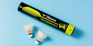 Image result for Feathers (New Milton) Badminton Club