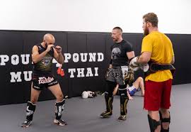 Image result for Vipers Thai/Kickboxing School