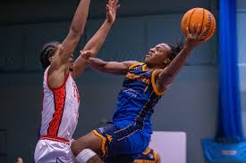 Image result for Worcester Wolves Basketball Club