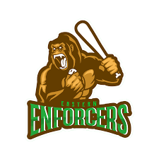 Image result for Enforcers