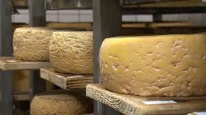 Image result for pálpusztai