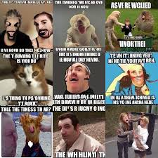 Image result for funniest picture ever