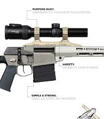 Attēlu rezultāti vaicājumam “Reptilia”