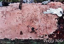 Attēlu rezultāti vaicājumam “Junghuhnia collabens”