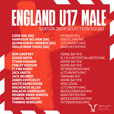 Image result for Stevenage Sharks Rhc