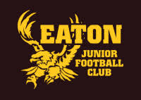 Image result for Junior Eagles Fc