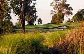 Image result for Camden Gc