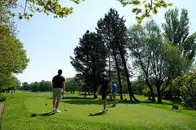 Image result for Hazel Grove Cc