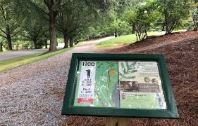 Image result for Ashville College Disc Golf Club