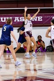 Image result for Kingston Wildcats Basketball Club