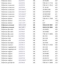 Attēlu rezultāti vaicājumam “Didymium xanthopus stalked”