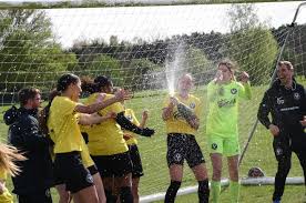 Image result for Hassocks Ladies FC