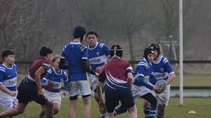 Image result for Diss Rugby Football Club