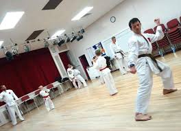 Image result for Hull Kung Fu