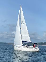 Image result for Salcombe Yacht Club