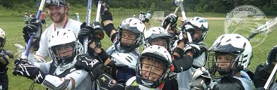 Image result for Welwyn Warriors Lacrosse Club