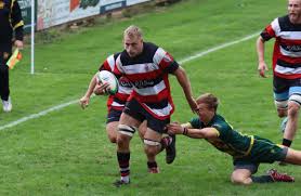 Image result for Teignmouth Rugby Football Club