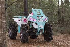 Image result for Wheelin' Wheelers
